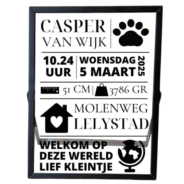 Een zwarte fotolijst met daarop verdeeld over vakken de naam, tijd, datum, gewicht, lengte, adres, stad, een gedichtje en bijpassende symbolen.