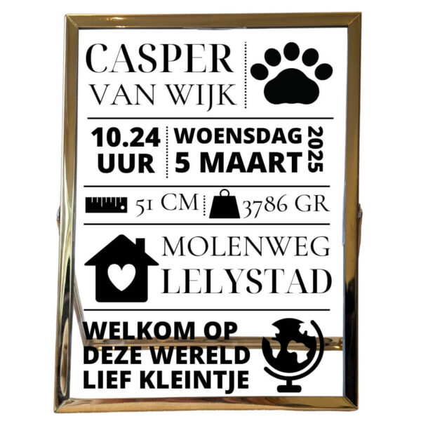 Een gouden fotolijst met daarop verdeeld over vakken de naam, tijd, datum, gewicht, lengte, adres, stad, een gedichtje en bijpassende symbolen.